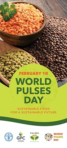 world-pulses-day.jpg